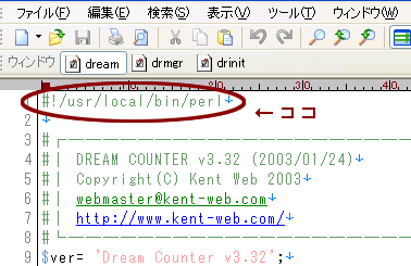 perlの宣言文を規約通りに設定する